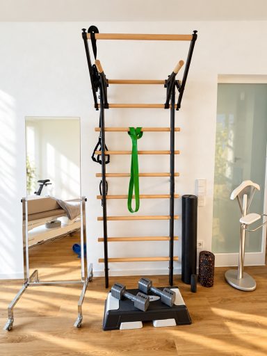 Sprossenwand mit Klimmzugstange, Pilatesrolle, Blackroll, Spiegel, Hanteln und Steppbrett