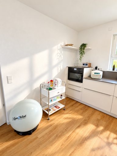 Laborutensilien, Musikanlage, Zentrifuge, Fangoofen, Pezziball